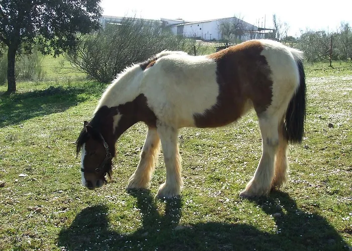 Летний дом La Tierra *